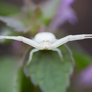 Photo 13608678