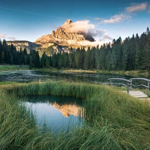 Preview Photographer\'s photo Илияна Шишкова