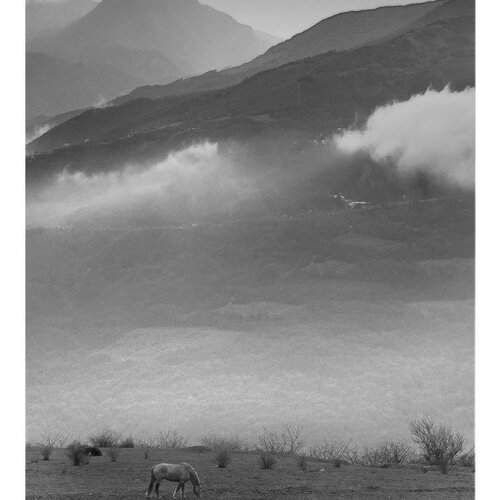 Preview Photographer\'s photo Яна  Гайворонская