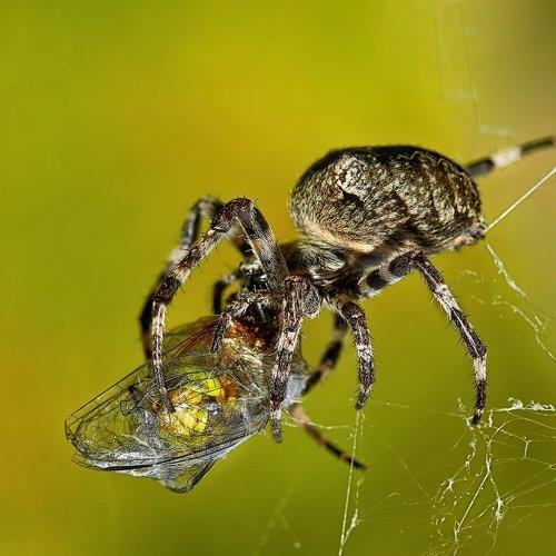 Превью фотографии фотографа Александр Демин