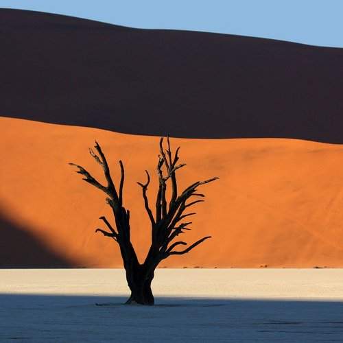 Preview Photographer\'s photo Вера