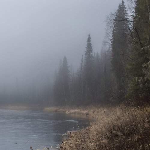 Превью фотографии фотографа Федотов Сергей