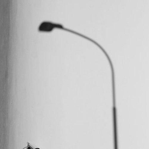 Preview Photographer\'s photo dk