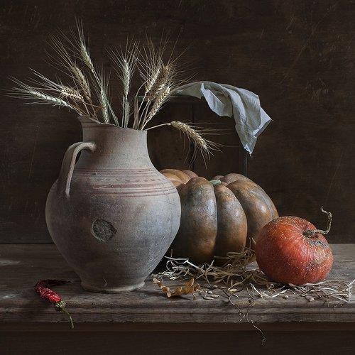 Preview Photographer\'s photo Корниенко Евгений