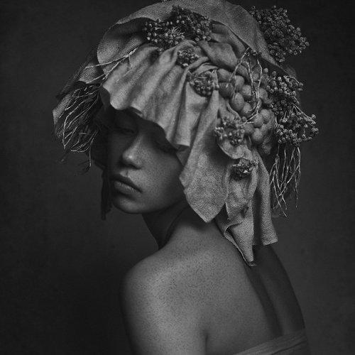 Превью фотографии фотографа Шевченко Юрий