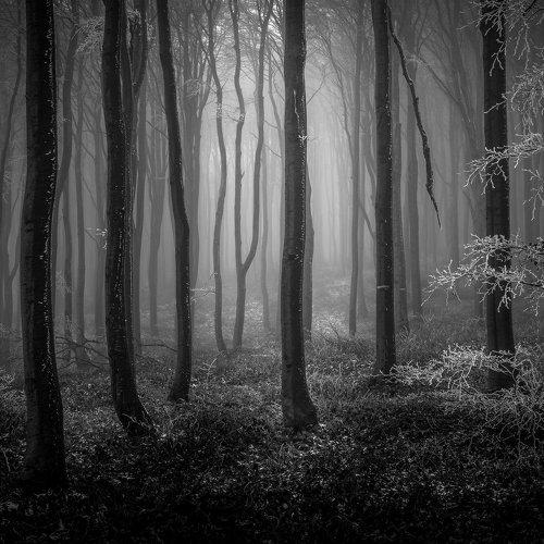 Preview Photographer\'s photo Илияна Шишкова