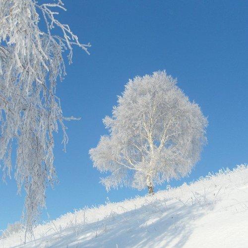 Превью фотографии фотографа Максим Филипов