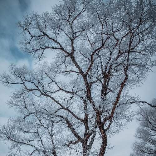 Preview Photographer\'s photo Сигида Дмитрий