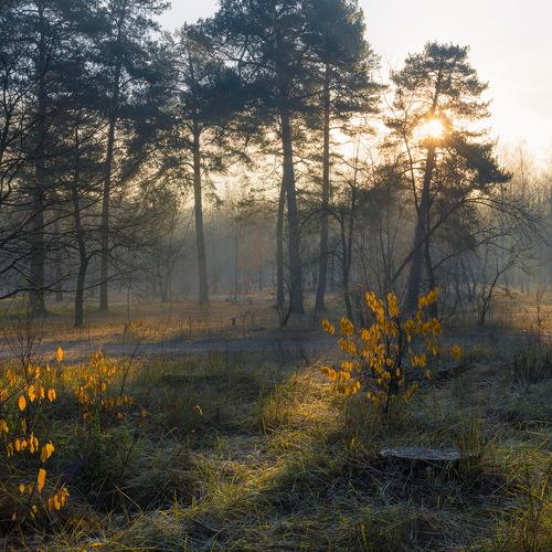 Preview Photographer\'s photo Галанзовская Оксана