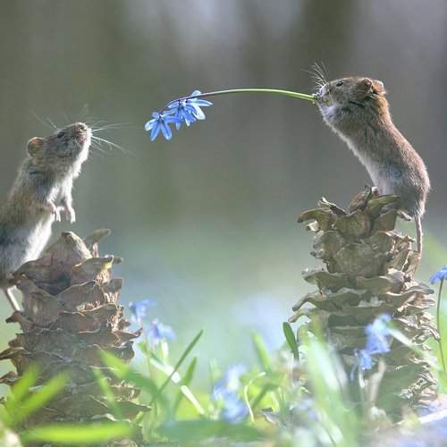 Preview Photographer\'s photo Вадим Трунов