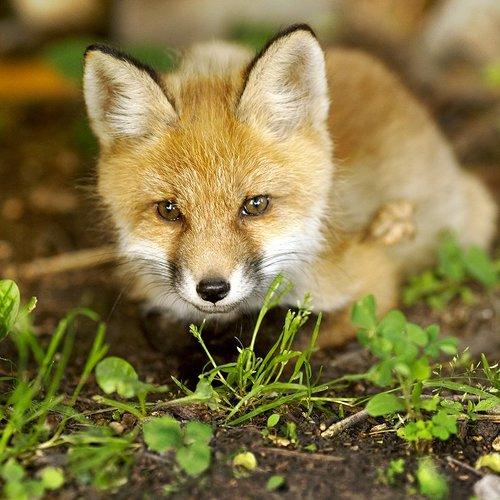 Preview Photographer\'s photo Инна Богуславская