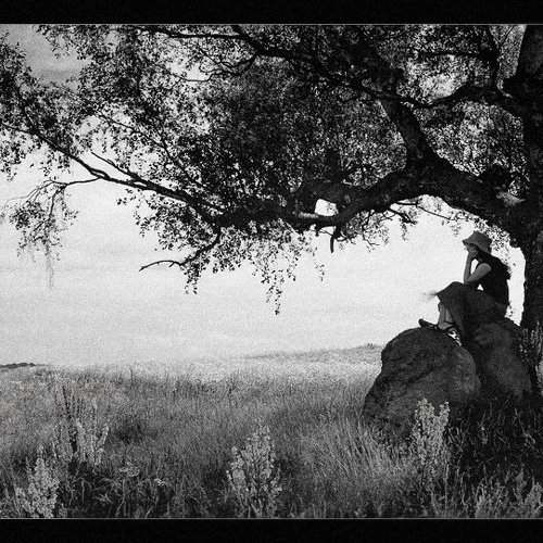 Preview Photographer\'s photo Didi Stefanova