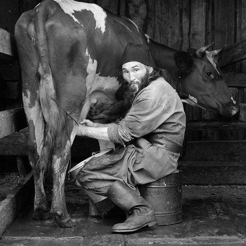 Превью фотографии фотографа Андрей Хитайленко