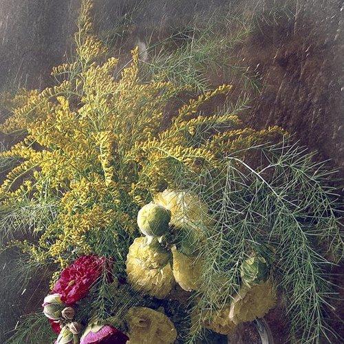 Preview Photographer\'s photo Лариса Запатрина