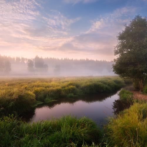 Превью фотографии фотографа Виталий Полуэктов
