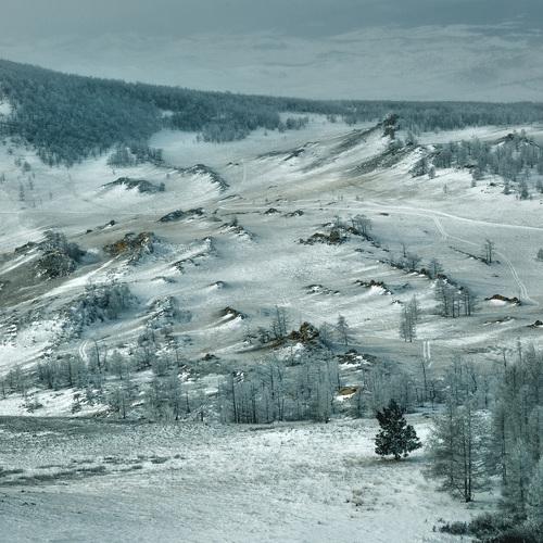 Preview Photographer\'s photo Низовцев Сергей