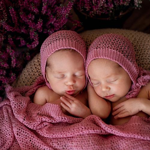 Превью фотографии фотографа Алена Волкова