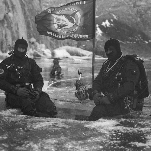 Превью фотографии фотографа Илья Глобин