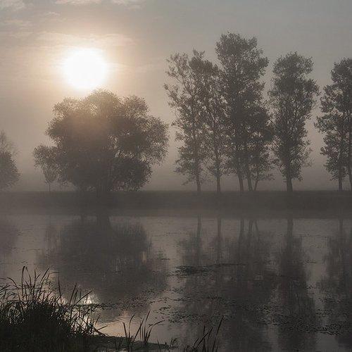 Превью фотографии фотографа Владимир Костылев