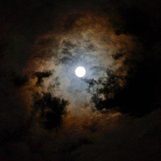 Photo 428977