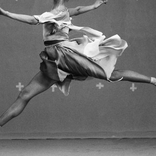 Превью фотографии фотографа David Galstyan