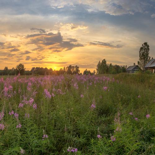 Травы травы песня слушать