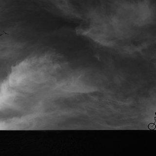 Photo 498039