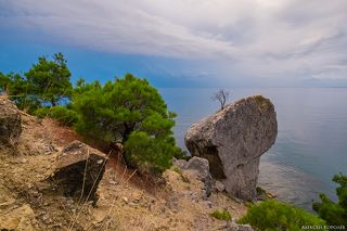 Сосны у подножия Караул-Обы. Засохшее дерево на вершине скалы погибло примерно 5 лет назад из-за сильных морозов.