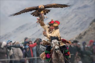 «Торжество победы».
Монголия, фестиваль охотников с беркутами / Golden Eagle Festival, октябрь 2017 г.
Состязания \