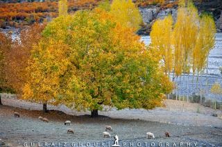 Autumn Season of Skardu