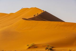 Desert and life-2