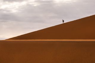 Desert and life-4
