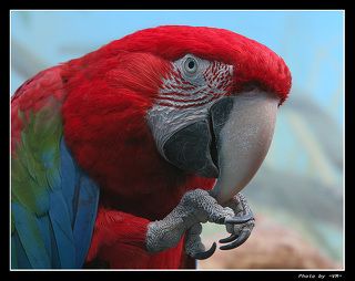 Никому, ничего не скажу ;)