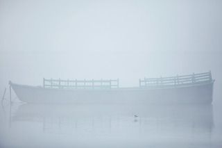 Утренний туман на Ямуне, Вриндаван.