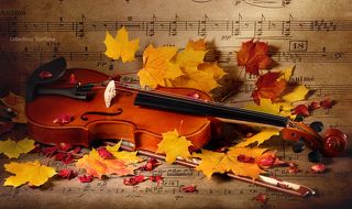 Со скрипкой и листьями