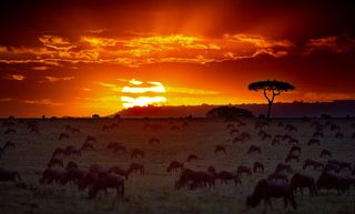 Африканский закат