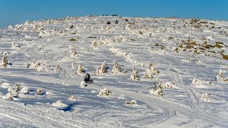 01 Шерегеш – это очень доступное место, где, пока ещё сохранилась дикая природа,