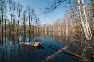 01 Мещёрская старица, 1 мая 2018