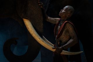 A mahout and his elephant