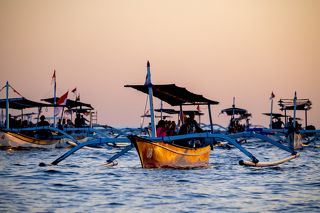 Чтобы увидеть морских млекопитающих в дикой природе необходимо выйти в море еще до восхода