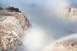 Iguazu Falls. November 2023