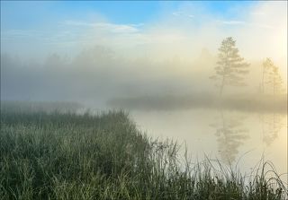 Седое от росы и тумана утро