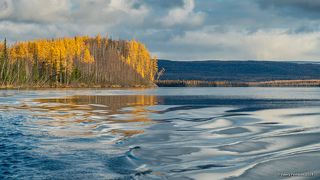 01 В безветренную погоду поверхность Курейского водохранилища становится идеальным зеркалом, и катамаран оставляет на ней причудливые следы: