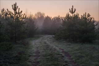 На рассвете вдоль реки