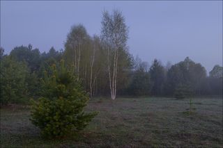 На рассвете