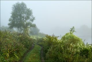 Утренняя рыбалка на перекатах