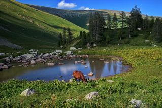 В горах Рудного Алтая