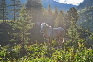 В горах Рудного Алтая