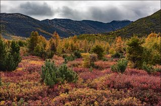 Днём в дельте студёного