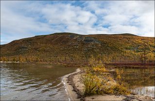 Золотые горы